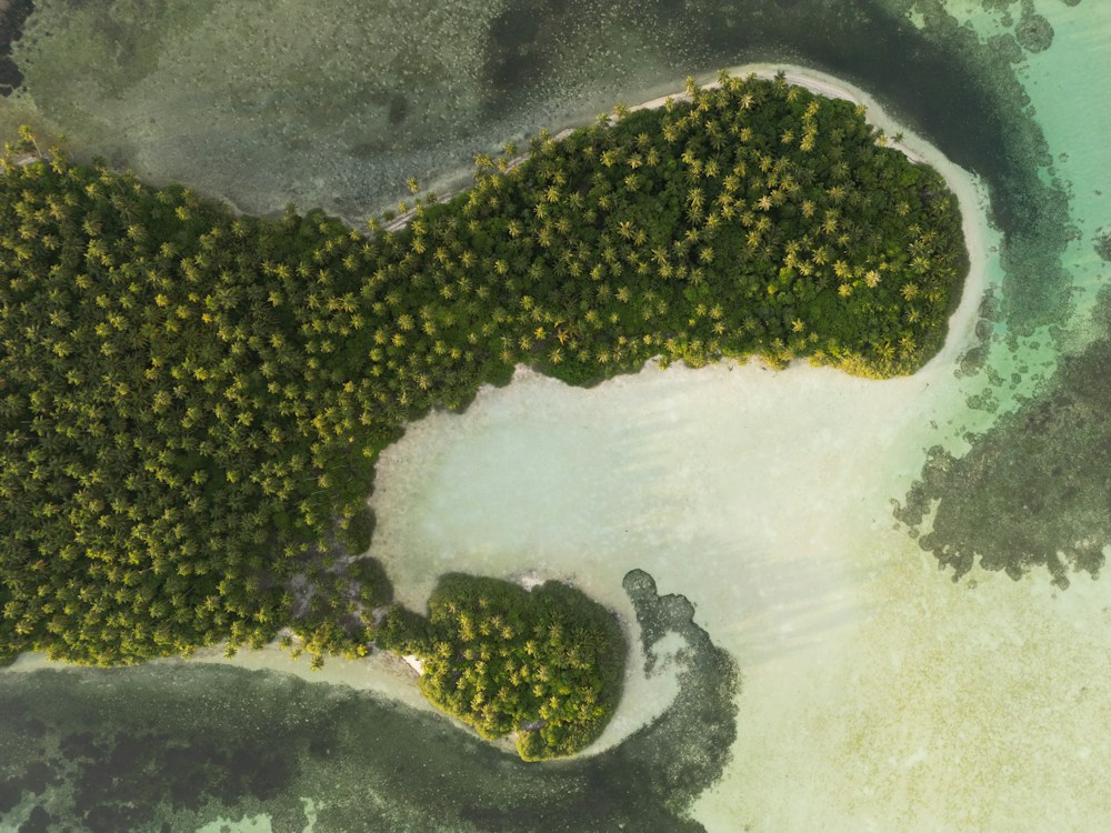 Palm-covered island and shallow lagoon at Dhanbidhoo, Maldives